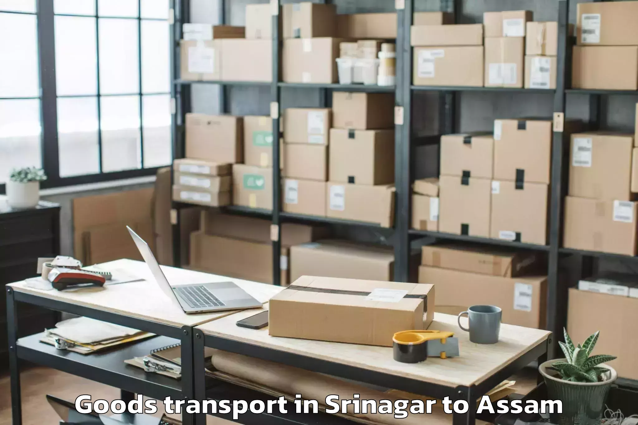 Trusted Srinagar to Assam University Silchar Goods Transport